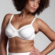 LEPEL-271